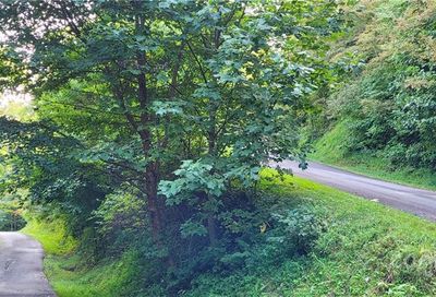 99999 Running Deer Lane Mars Hill NC 28754