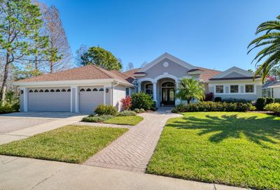 12302 Marblehead Drive Tampa FL 33626