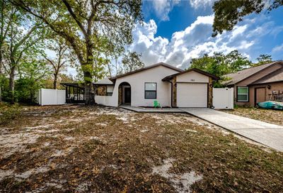 783 Arthurs Court Tarpon Springs FL 34689