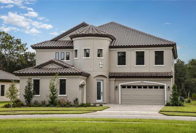 14437 Swiss Bridge Drive Lithia FL 33547
