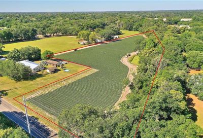 Gallagher Road Dover FL 33527