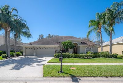 11918 Keating Drive Tampa FL 33626