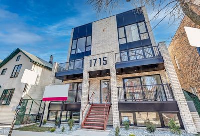 1715 S Morgan Street Chicago IL 60608