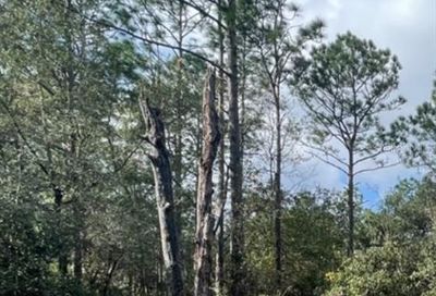 SE 32nd Place Morriston FL 32668