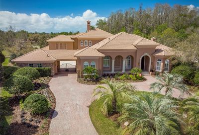 2720 Deer Track Way Palm Harbor FL 34685