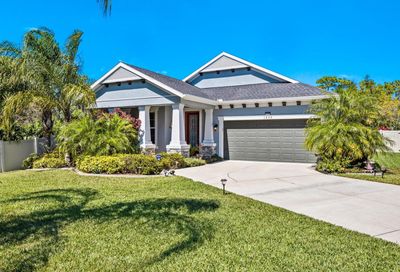 1230 Windy Bay Shoal Tarpon Springs FL 34689