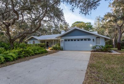 10271 Casey Drive New Port Richey FL 34654