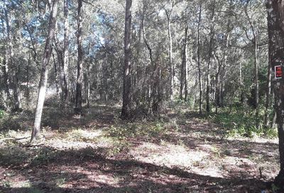 12942 W Almond Place Crystal River FL 34428