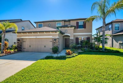 1306 Ketzal Drive Trinity FL 34655