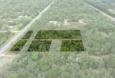 Treiman Boulevard Webster FL 33597