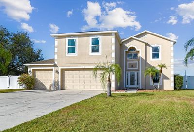 17006 Patton Court Lutz FL 33559