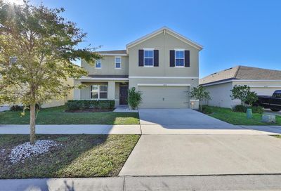 10026 Geese Trail Circle Sun City Center FL 33573