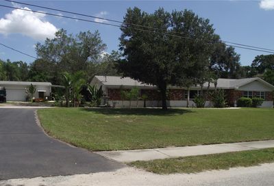 208 Watkins Way Brandon FL 33510