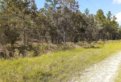 00 SW 128th Terrace Dunnellon FL 34432