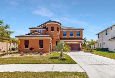 13232 Fawn Lily Drive Riverview FL 33579