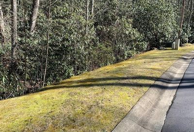 48 Settings Boulevard Black Mountain NC 28711