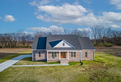 63 Hurst Drive Leoma TN 38468