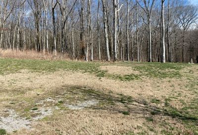 8504 Heirloom Blvd (Lot 7067) College Grove TN 37046