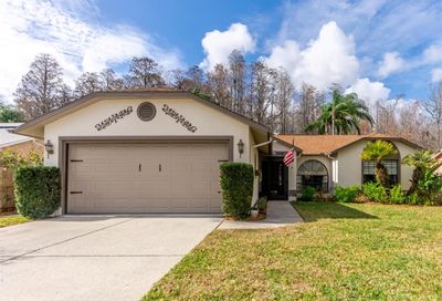 5041 Spike Horn Drive New Port Richey FL 34653