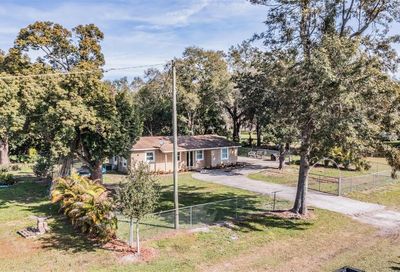 3307 Red Ruffle Lane Dover FL 33527