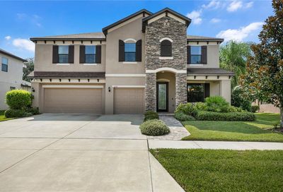 2939 Shetland Ridge Drive Valrico FL 33596