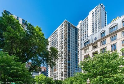 1313 N Ritchie Court Chicago IL 60610