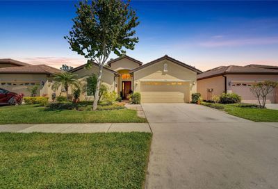 304 Silver Falls Drive Apollo Beach FL 33572