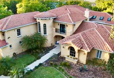 9725 Chestnut Ridge Drive Windermere FL 34786