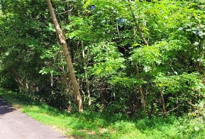99999 Running Deer Lane Mars Hill NC 28754