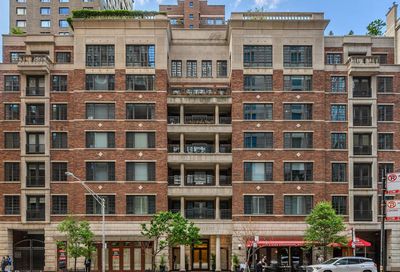 190 E Walton Place Chicago IL 60611