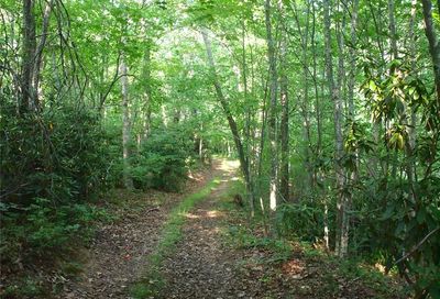 000000 Dads Retreat Trail Canton NC 28716
