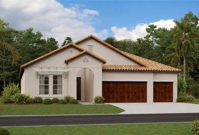 5335 Windy Grove Drive Wimauma FL 33598