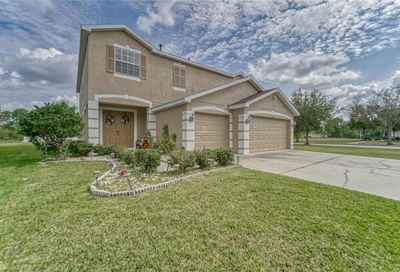 20101 Bluff Oak Boulevard Tampa FL 33647