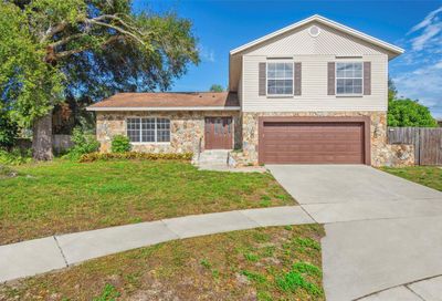2261 E Greenhollow Drive Palm Harbor FL 34683
