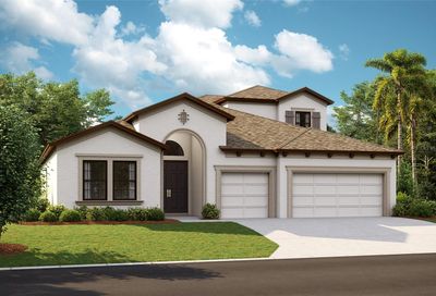 12744 Fisherville Way Riverview FL 33579