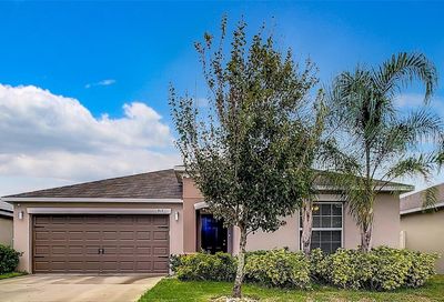 917 Zone Tailed Hawk Place Ruskin FL 33570