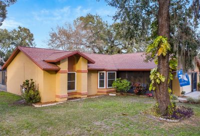 1904 Landside Drive Valrico FL 33594