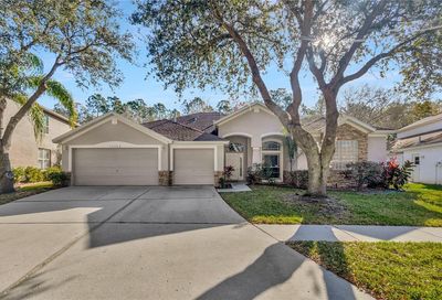 16942 Falconridge Road Lithia FL 33547