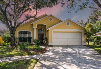 10304 Springrose Drive Tampa FL 33626
