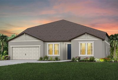11489 Owasee Trails Place Riverview FL 33569