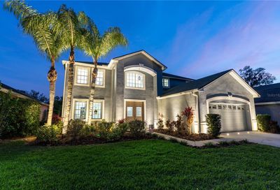 5431 Twin Creeks Drive Valrico FL 33596