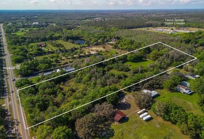 250 Meadows Drive Tarpon Springs FL 34688