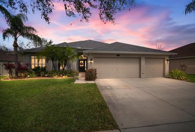 3812 Misty Landing Drive Valrico FL 33594