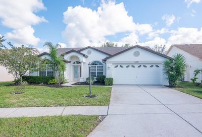 6521 Cardinal Crest Drive New Port Richey FL 34655