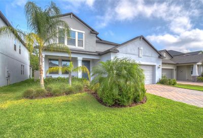 11428 Chilly Water Court Riverview FL 33569