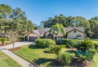 18244 Clear Lake Drive Lutz FL 33548