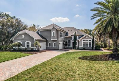 14106 Oakwood Cove Lane Orlando FL 32832