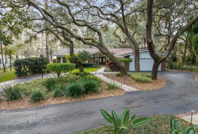 19830 Hiawatha Road Odessa FL 33556