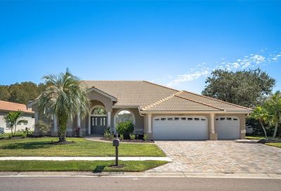2679 Saddlewood Lane Palm Harbor FL 34685