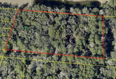 Pinon Drive Webster FL 33597